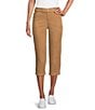 Intro Petite Size Stretch Pull-On Capri Pants, Color:Burro - Image 1