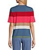 Color:Multi Stripe - Image 2 - Petite Size Short Sleeve Crew Neck Multi Stripe Knit Top