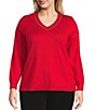Investments Plus Size Jeweled V-Neck Long Sleeve Pullover Top - Image 1