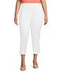Investments Plus Size the PARK AVE fit Elite Stretch Ankle Straight Pants - Image 5