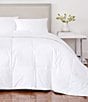 J. Queen New York Royalty Lightweight White Duck Down Comforter, Color:White - Image 1
