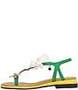 J. Renee Dazee Daisy and Bee T-Strap Toe Loop Flat Sandals - Image 4