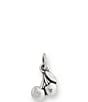 James Avery Enamel Cherries Charm - Image 2