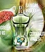 Jean Paul Gaultier undefined, 00000000__20591113_02_ai - undefined
