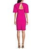 Color:Pink - Image 2 - Scuba Crepe Short Sleeve V-Neck Sheath Dress