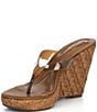 Jessica Simpson Jyseta Clear Thong Raffia Wedge Sandals - Image 4