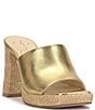 Color:Metallic Gold - Image 1 - Kashet Leather Raffia Heel Platform Sandals