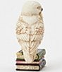 Jim Shore Harry Potter Collection Hedwig Mini Figurine - Image 5