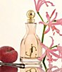 Jimmy Choo I Want Choo Eau de Parfum 2-Piece Gift Set - Image 3