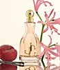 Jimmy Choo I Want Choo Eau de Parfum Gift Set - Image 2