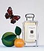 Jo Malone London Lime Basil & Mandarin Cologne, 1.7-oz. - Image 3