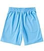Color:University - Image 2 - Big Boys 8-20 Essentials Mesh Shorts