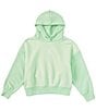 Color:Vapor Green - Image 1 - Big Girls 7-16 Icon Play Pullover Hoodie