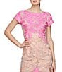 Color:Hot Pink Multi - Image 4 - Lace Boat Neck Short Sleeve Sheath Dress