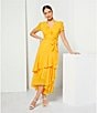Color:Gold Fusion - Image 4 - Polka Dot Print V-Neck Short Sleeve Ruffle Tiered Belted Wrap Maxi Dress