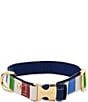 Color:Multi - Image 1 - Adventure Stripe Dog Collar