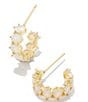 Color:Champagne Opal Crystal - Image 1 - Cailin Crystal Huggie Hoop Earrings