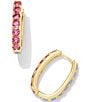 Color:Gold Pink Blue Mix - Image 1 - Chandler 14K Gold Crystal Hoop Earrings