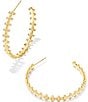 Color:Gold White Crystal - Image 1 - Jada Crystal Embellished Hoop Earrings