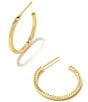 Color:Gold - Image 1 - Sylvie Small Hoop Earrings