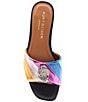 Color:Multi - Image 5 - Kensington Metallic Rainbow Slide Sandals