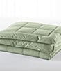 Color:Mineral Green - Image 2 - Ultrasoft Cotton Comforter