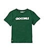 Color:Green - Image 1 - Little Boys 2T-6T Short Sleeve Crocodile Claw Graphic T-Shirt