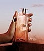 Lancome undefined, 00000000__20412743_03_ai - undefined