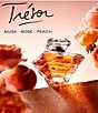 Lancome Tresor 3 Piece Set Holiday Set - Image 4