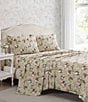 Color:Beige - Image 4 - 200-Thread Count Ashfield Floral Printed Pattern Cotton Percale Sheet Set