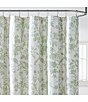 Color:Sage - Image 1 - Natalie Floral Toile Shower Curtain