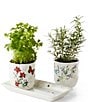 Color:White - Image 3 - Butterfly Meadow 3-Piece Herb Pots & Tray Set