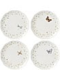 Color:Floral - Image 1 - Butterfly Meadow Vine Dinner Plates, Set of 4