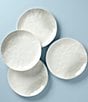 Color:White - Image 2 - Oyster Bay 4-Piece Dinner Plate Set