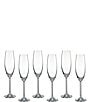 Color:Clear - Image 1 - Tuscany Classics Champagne Glass Flute Set, Buy 4 Get 6