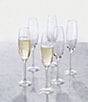 Color:Clear - Image 2 - Tuscany Classics Champagne Glass Flute Set, Buy 4 Get 6