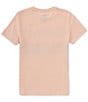 Color:Pale - Image 2 - Levi's® Big Boys 8-20 Short Sleeve Seaside Palms T-Shirt