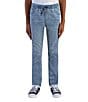 Color:Pyramid - Image 1 - Levi's® Big Boys 8-20 Skinny-Fit Pull-On Pants