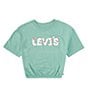 Color:Malachite Green - Image 1 - Levi's® Big Girls 7-16 Short Sleeve Meet And Greet Floral Top