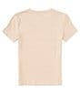 Color:Oxford - Image 2 - Levi's® Little Boys 4-7 Short Sleeve Desert Sunrise T-Shirt