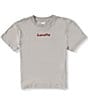 Levi's Little Boys Short Sleeve Pixelated Bear Tee - Image 2