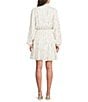 Lilly Pulitzer Axton Metallic Clip Sparkling Sand Split V-Neck Long Sleeve Ruffle Hem Dress - Image 4