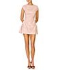 Line and Dot Rosamina Round Neckline Cap Sleeve Sequin Embellished Lace Mini Dress - Image 1
