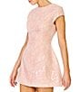 Line and Dot Rosamina Round Neckline Cap Sleeve Sequin Embellished Lace Mini Dress - Image 4