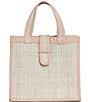 Color:Avoca - Image 1 - Avoca Mini Gallery Weave Straw Tote Bag