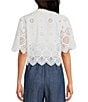 Color:White - Image 2 - Lace Embroidered V-Neck Short Sleeve Tie Front Top