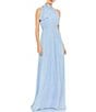Color:Powder Blue - Image 1 - High Halter Bow Turtleneck Sleeveless A-Line Gown