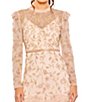 Color:Blush - Image 3 - Illusion Mock Neck Long Sleeve Tiered Ruffled A-Line Gown