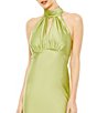 Color:Apple Green - Image 3 - Mock Halter Neck Sleeveless Empire Waist Sheath Gown
