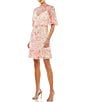 Color:Blush Multi - Image 1 - Floral Print Mock Neck Short Flounce Sleeve Sequin Embellished Tiered Ruffle Hem Dress